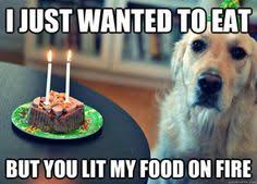 Dog Quotes on Pinterest | Dogs, Pitbulls and Puppys via Relatably.com