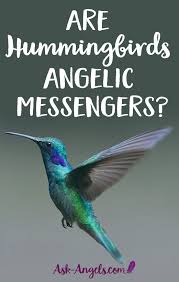 Birds Of The Air Bible Meaning 4 Hummingbird Meanings Learn About Hummingbird Symbolism Hummingbird Meaning Hummingbird Symbolism Hummingbird