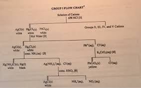 Solved Group I Flow Chart Solution Of Cations 6m Hci 1 G