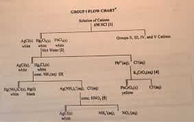 solved group i flow chart solution of cations 6m hci 1 g