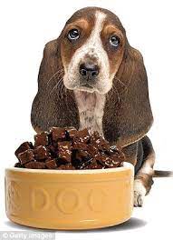 We did not find results for: How Pet Food Is Killing Your Dog And Why You Should Be Feeding It Parsnips And Yoghurt Daily Mail Online