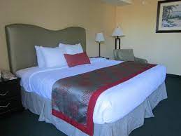 King Guest Room Picture Of Plaza Hotel Fort Lauderdale Tripadvisor