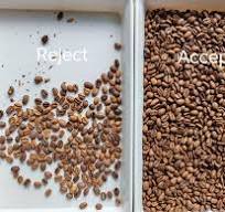 Quality Color Sorter Coffee Bean Color Sorter Factory ...