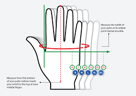 We did not find results for: Stego Glove Technologies Glove Size