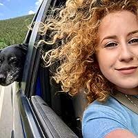 Sin Bin by Mandi Beck