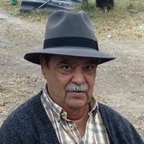 Joe V. Bononcini Obituary