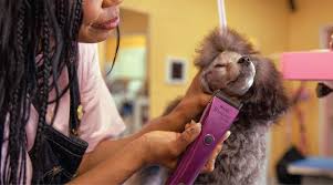 Electric Pet Grooming Tool