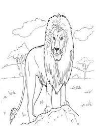 Dibujos Para Colorear De Animales Reales