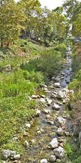 1200 m2 de bonnes affaires ! Saint Andre De La Roche A Visiter 06 Provence 7