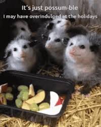 Melodramatic deaths are a comedy trope whether you like it or not. Over The Hedge Possum Gifs Tenor