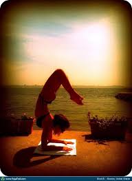 Yoga Pose Uploaded By Shuli Burke Yoga Poses Scorpion Pose Hatha Yoga For Beginners