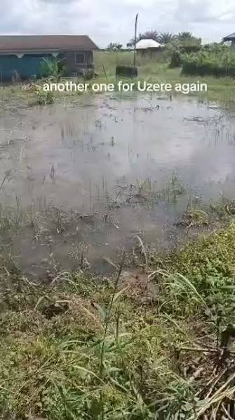 Residents and environmental advocacy groups in Uzere kingdom, Isoko South Local Government Area of Delta State, have raised urgent concerns over an uncontained oil wellhead blowout that continues to s