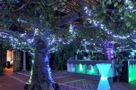 Ddfcb0601389f235c4e80505f2913bce Jpg 736 491 Avatar Theme Forest Theme Avatar Tree