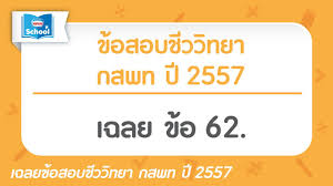 อยากทำคะแนนรอบ กสพท ได้สูง ๆ แบบสอบติดชัวร์ ๆ อย่าลืมไปทดลองเรียนฟรีที่. à¸‚ à¸­à¸ªà¸­à¸šà¸Š à¸§à¸§ à¸—à¸¢à¸² à¸à¸ªà¸žà¸— à¸› 2557 à¸‚ à¸­62 Youtube