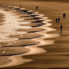 Image result for principles of art rhythm