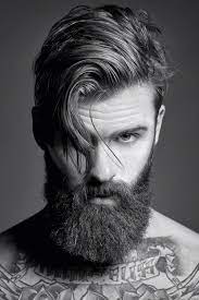 Fb40f327fd20477caccad61cbbe570fc Jpg 1 200 1 800 Pixels Beard Styles Hipster Beard Beard Shampoo