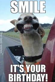 Happy birthday song looking for the perfect happy birthday song? Top 100 Funniest Happy Birthday Memes Most Popular