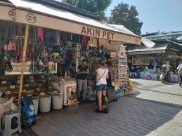 Akin Pet Yandex Haritalar