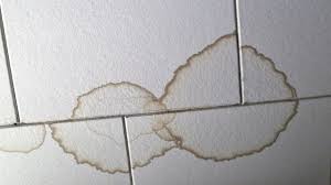Generally, homeowners insurance companies won't cover mold damage if it was caused by something breaking or leaking due to your failure to have you filed a homeowners insurance claim for mold damage? Does Homeowners Insurance Cover Foundation Repair Bankrate