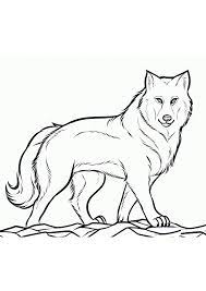 These creatures have frequently been associated with the qualities of wickedness, deception, evil, greed and … Coloring Pages Free Printable Wolf Coloring Pages For Kids