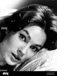 SHIRLEY ANNE FIELD Stock Photo