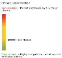 FIBC Market Size, Growth, Forecast | Industry Analysis ...