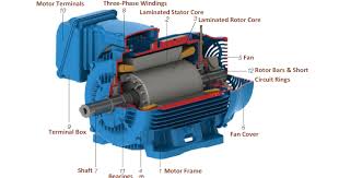 Check inverter and motor nameplates to determine that they have matched hp and voltage ratings. Basic Parts Of A Three Phase 3 Öƒ Squirrel Cage Induction Motor Learning Electrical Engineering