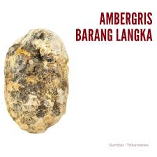 Check spelling or type a new query. Jual Ambergris Muntahan Ikan Paus Murah Di Tangerang