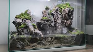 Pin On Paludarium Collection