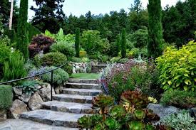 Today S Photos Are A Treat From Tatyana Searcy On The Kitsap Peninsula In Washington State If Mediterranean Garden Design Buchart Gardens Mediterranean Garden