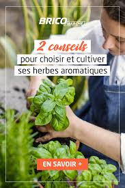 2 conseils pour choisir et cultiver ses herbes aromatiques herbes aromatiques conseil jardinage jardin d herbes aromatiques