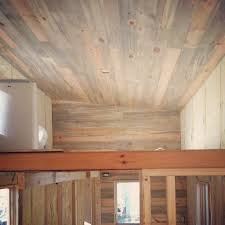 Beautiful Blue Stain Beetle Kill Pine Ceiling And Walls The Tiny Project Beetle Kill Pine Knotty Pine Doors Pine Walls