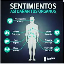 Te Has Preguntando Alguna Vez Que Somos Pues Somos Un Espiritu Que Habita En Un Cuerpo Y En 2020 Dolor Y Emociones Salud Mental Y Emocional Psicologa Emocional