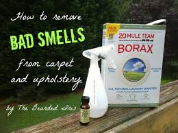 How To Remove Bad Smells From Carpet And Upholstery The Bearded Iris