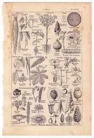 Pin On Brood Jenever Graphics