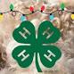 4-H at Christmas in Moravia event in Moravia, NY