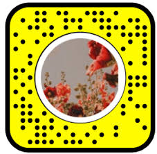 Pixel­hunter — free ai image resizer for social media. Aesthetic Filter Lenses Lens Studio Community