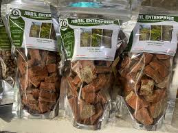 Image result for Lannea welwitschii