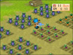 Maybe you would like to learn more about one of these? Blog Tempat Komen Apa Aja Harvestmoon Back To Nature Tanaman Musim Fall