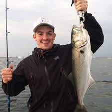 brandon gruver (@bgruv)