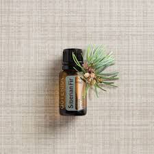 Evergreen means green leaves throughout the year. Using Siberian Fir Essential Oil DÅterra Essential Oils