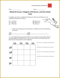 Dihybrid_cross_worksheet_answer_sheet.pdf is hosted at www.kuimba.co.uk since 0, the book dihybrid cross worksheet answer sheet contains 0 pages, you can download it for free by clicking in download button below, you can also preview it before download. Dihybrid Cross Worksheet Key Shefalitayal