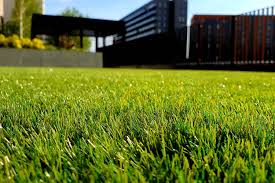 Shop patio & garden items & more. How Often To Water New Grass Seeds Detailde Guide Beezzly