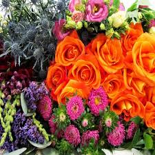 Check spelling or type a new query. Bohemian Diy Wedding Flower Pack Wholesale Blooms By The Box