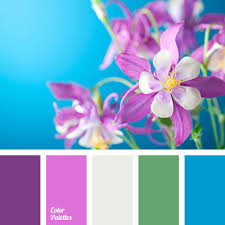 Check spelling or type a new query. Violet Color Palettes Tag Color Palette Ideas