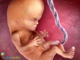 29/10/2012 · vidéo incorporée · le fœtus mois par mois évolution du fœtus du 1er au 4ème mois de grossesse en vidéo santé 3d. Au Fil De La Grossesse Fille Ou Garcon En Video Babycenter Canada
