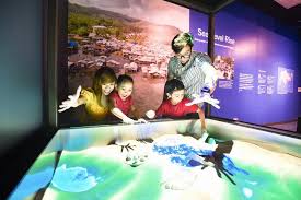 This image has an empty alt attribute; its file name is images