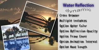 Water Reflection Water Reflections Project Reflection Reflection