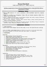 A Professional Curriculum Vitae Curriculum Vitae Employee Relations Curriculum Vitae Resume