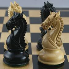 The Knights In This Chess Set Are Awesome Chess Board Chess Set Chess